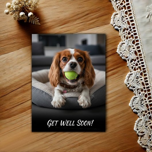 Adorable Cavalier King Charles Spaniel Get Well Briefkaart
