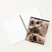 Adorable chaton à couchage carnet spirale (Intérieur)