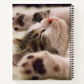 Adorable chaton à couchage carnet spirale (Dos)