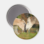 Adorable Chevaux De Cuisine Mangeant Aimant De Poi (Recto/Verso)