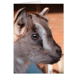 Adorable chèvre Brown enfant