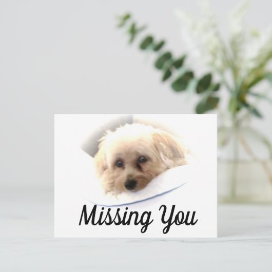 Adorable Chien Vous Manquant Carte Postale (Debout devant)
