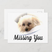 Adorable Chien Vous Manquant Carte Postale (Devant / Derrière)