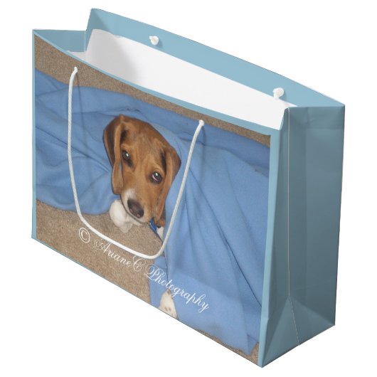 Adorable chiot Beagle grand sac cadeau (Devant Angle)