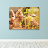 Adorable Chipmunk sur Statue Toile Enveloppée (Insitu (Plancher de Bois))