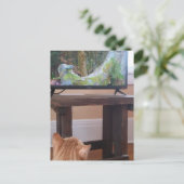 adorable ginger kitty watching TV Briefkaart (Staand voorkant)