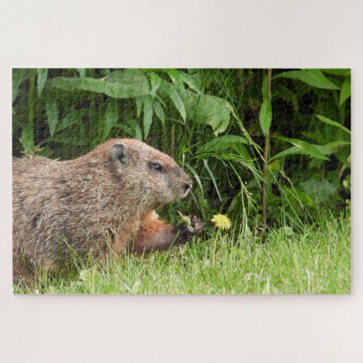 Adorable Groundhog Picking Flowers Jigsaw Puzzle (Horizontal)