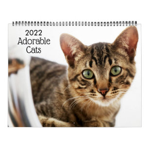 Adorable Katten 2022 Agenda Kalender