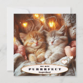 Adorable Kittens Joyeux Valentines Carte de jour (Devant)