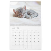 Adorable Kittens Photo Calendrier mural (Mar 2026)