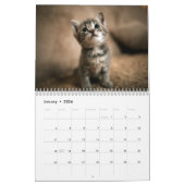Adorable Kittens Photo Calendrier mural (Jan 2026)