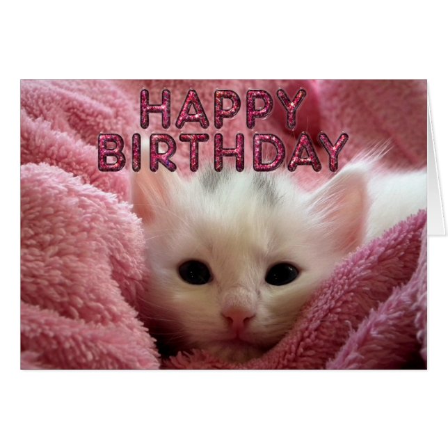 Adorable kitty rester chaud (Devant horizontal)