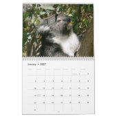 Adorable Koala Bears 2016 Calendrier (Jan 2027)