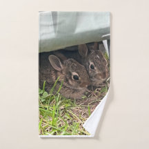 Adorable lapin nouveau-né