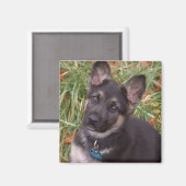 Adorable Magnets de chiot (Recto/Verso)