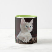 Adorable Mugs Portrait pour animaux (Centre)