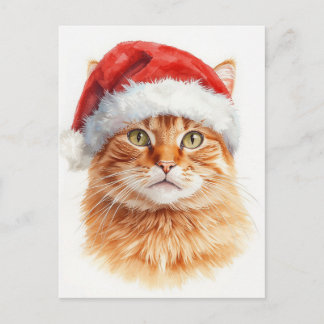 Adorable Orange Tabby Cat in Santa Hat Feestdagenkaart