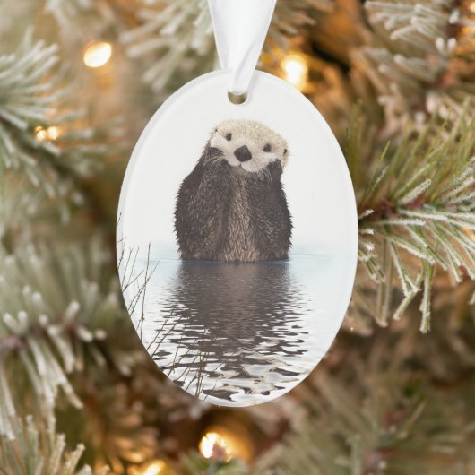 Adorable Otter souriant dans le lac (Arbre)