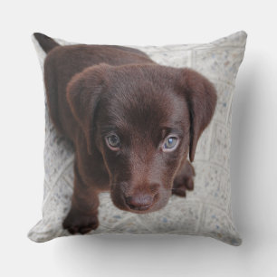 Adorable poupée brun jetée oreiller