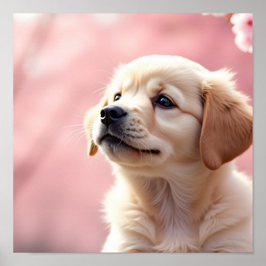 Adorable Puppy Sitting Under Blooming Cherry Trees Poster (Voorkant)