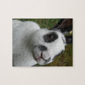 Adorable Puzzle Rabbit (Horizontal)