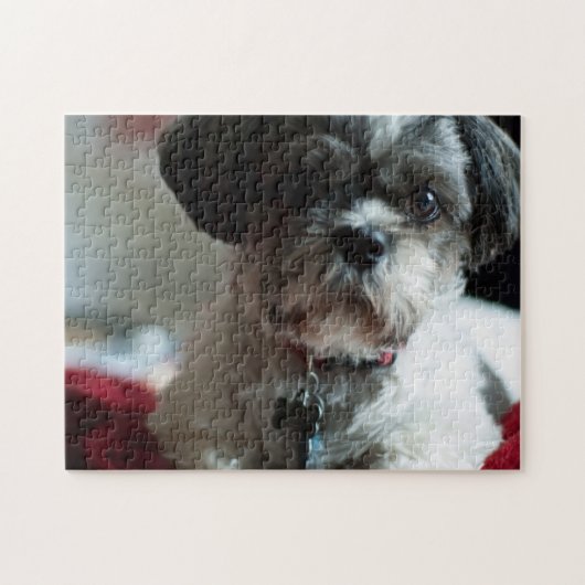 Adorable Puzzle Shih Tzu (Horizontal)
