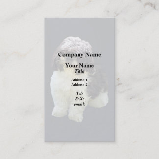 Adorable Shih Tzu Puppy Visitekaartje