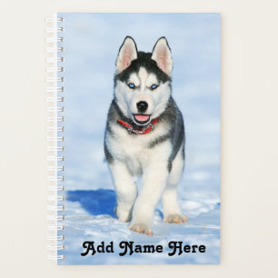 Adorable Sibérie Husky Puppy dans la neige