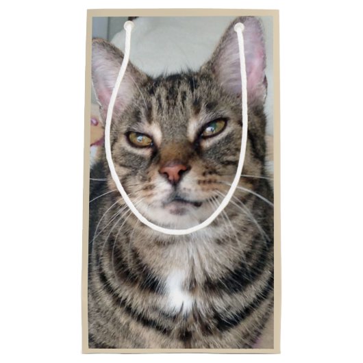 Adorable Tabby Chat Sac cadeau photo (Devant)