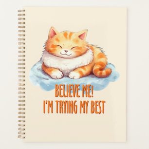Adorable Tabby Orange Chat - Je tente mon meilleur