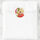 Adorables autocollants de chaton chantant des chan (Sac)