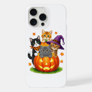Adorables Chatons Citrouille Halloween Saison Somb