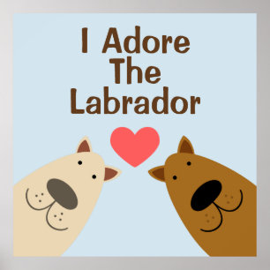 Adore Labrador Poster