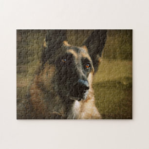 Adoroing German Shepherd Foto Legpuzzel