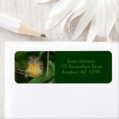 Adres baby Oriole Bird Etiket (Insitu)