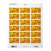 Adres Copa de Oro Etiket (Full Sheet)