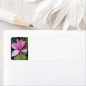 Adres Magnolia Bloom Return Etiket (Insitu)