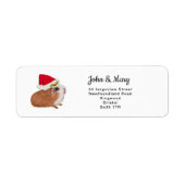 Adres sticker kerstcavia (Voorkant)