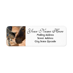 Adres voor paarden en Kitten Return Etiket