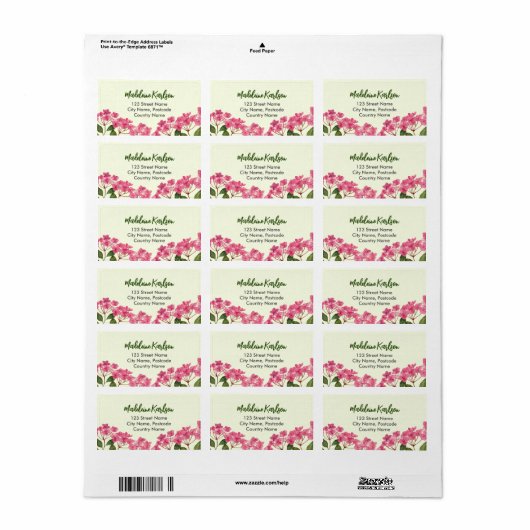 Adres Waterverf Roze Hydrangea Lacecaps Etiket (Full Sheet)