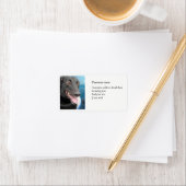 Adresetiketten Etiket (Insitu)