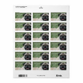 Adresetiketten Etiket (Full Sheet)