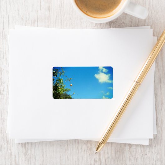 ADRESETIKETTEN KUNST EN DESIGN ETIKET (Insitu)