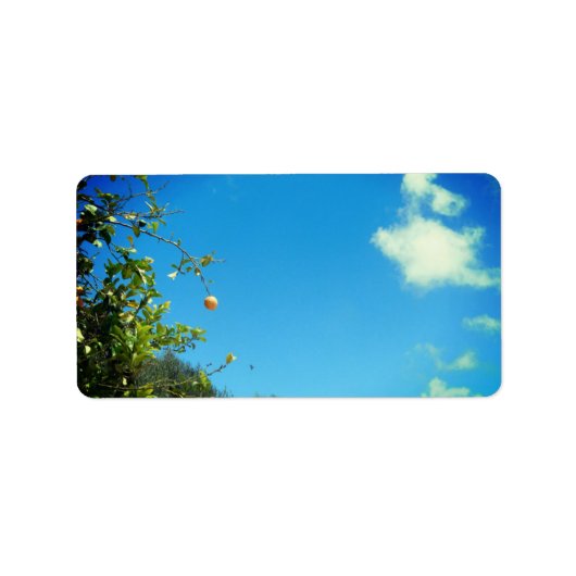 ADRESETIKETTEN KUNST EN DESIGN ETIKET (Voorkant)