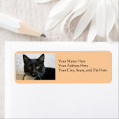 Adresetiketten: Lilly the Cat Etiket (Insitu)