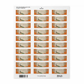 Adresetiketten - Sinaasappel Vintage pauw & etsen Etiket (Full Sheet)