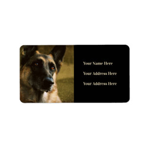 Adresetiketten van de Duitse Shepherd Photo Etiket