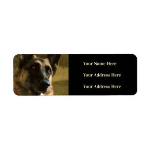 Adresetiketten van de Duitse Shepherd Photo Etiket
