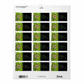 Adresetiketten van edele oerwouden Katten Etiket (Full Sheet)
