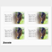 Adresetiketten van paarden rechthoekige sticker (Vel)